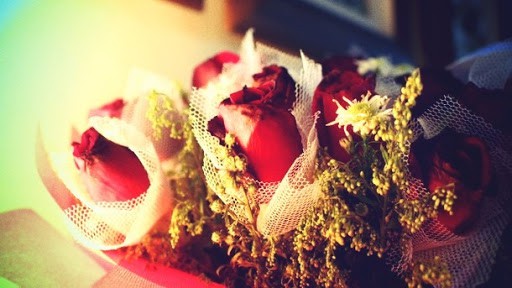 P2083115.JPG_effected