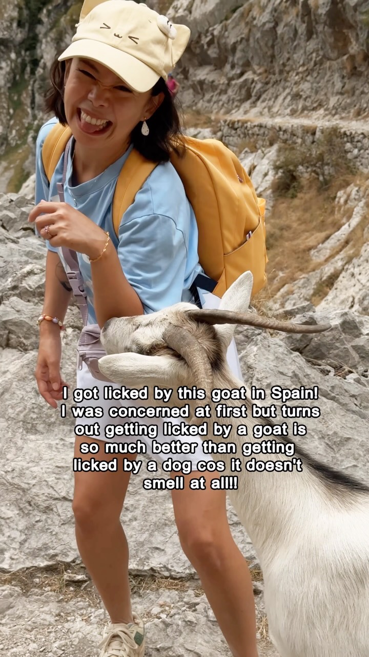 ✅ Getting licked by goat 10/10
❌ Getting licked by dog 0/10