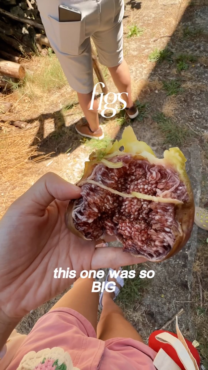 One of the best things about summer in Portugal 🇵🇹 😋