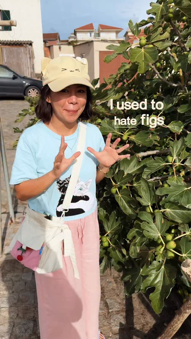 Send this to a friend who hates figs 🤭

[things I learnt in portugal, life in portugal, fig tree season]
